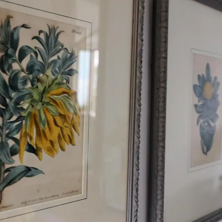 Bellagio Retreat View 아파트